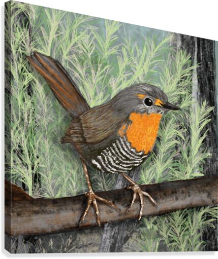 Chucao Canvas Print