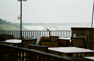 A Bird Near Niagara Falls