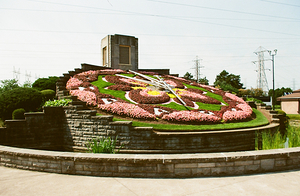 The Floral Clock