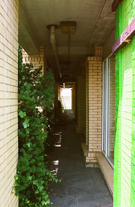 A Niagara Falls Alley