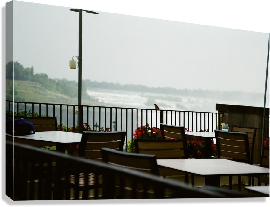 A Bird Near Niagara Falls Canvas Print