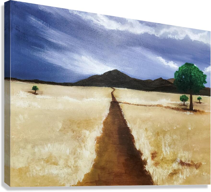 Somewhere in Namibia Canvas Print