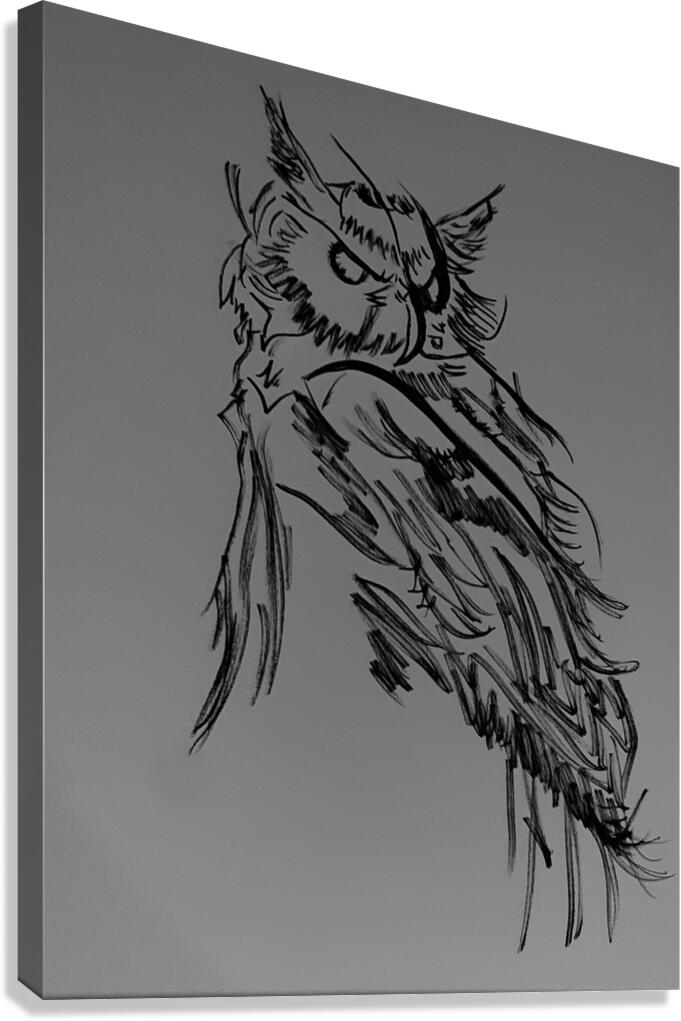 Owl Canvas Print
