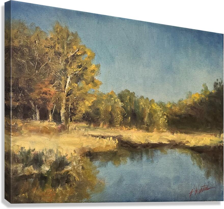 Unplugged Canvas Print