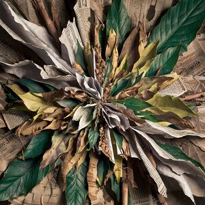 weathered newspaper clippings