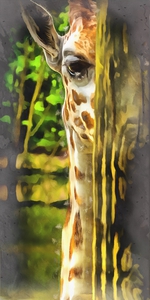 I ll be Watching You b