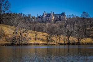 crp 2 21g 1 5   Castle Geese