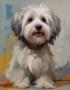 Cute Havanese Dog 5