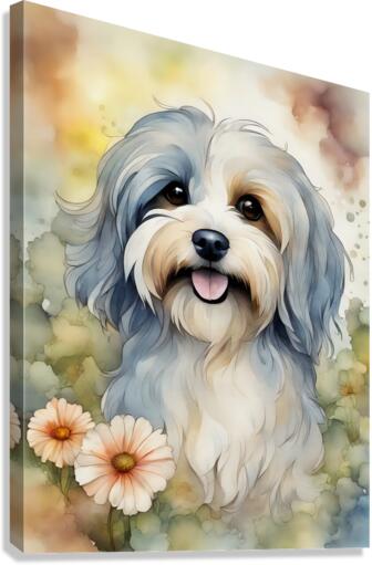 Cute Havanese Dog 3 Canvas Print