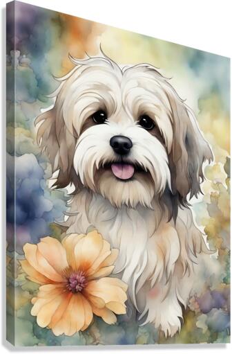 Cute Havanese Dog 4 Canvas Print