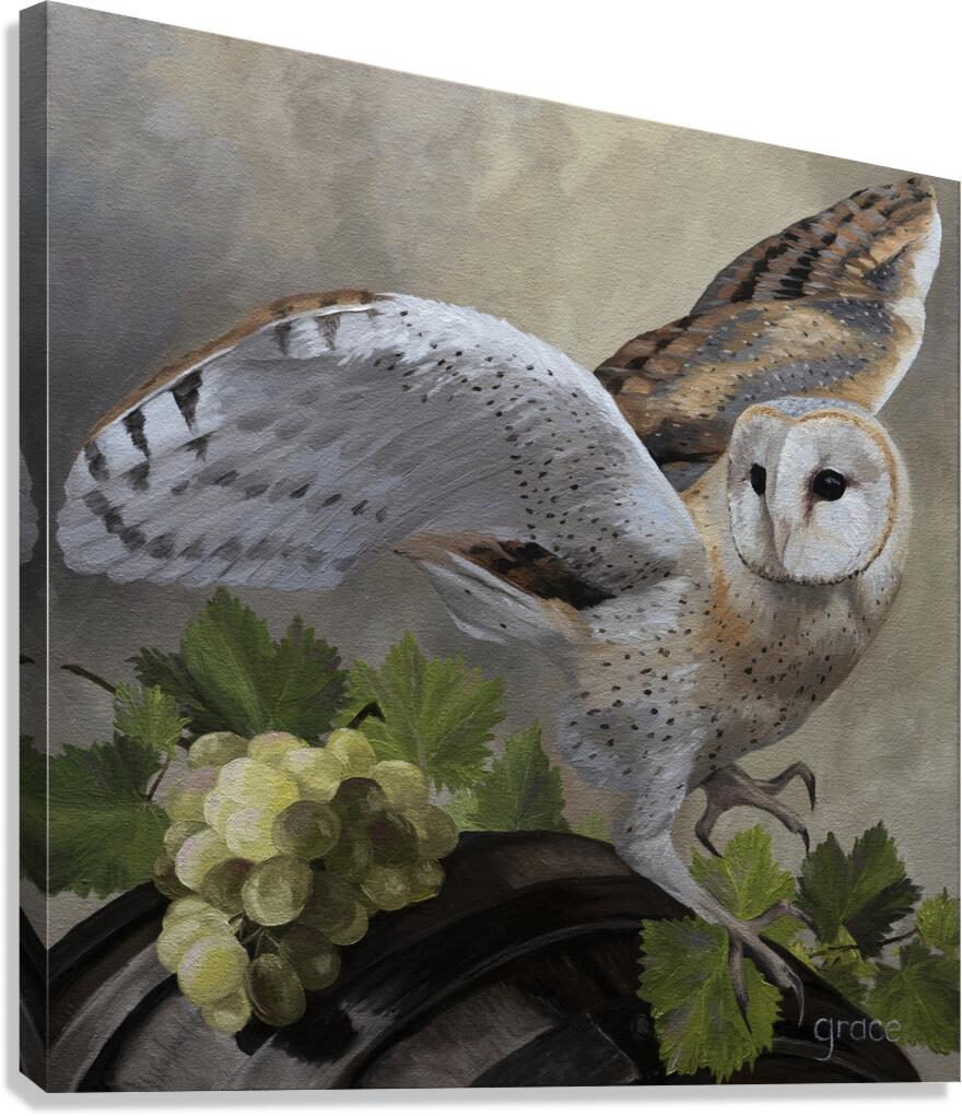 BarnOwl Canvas Print