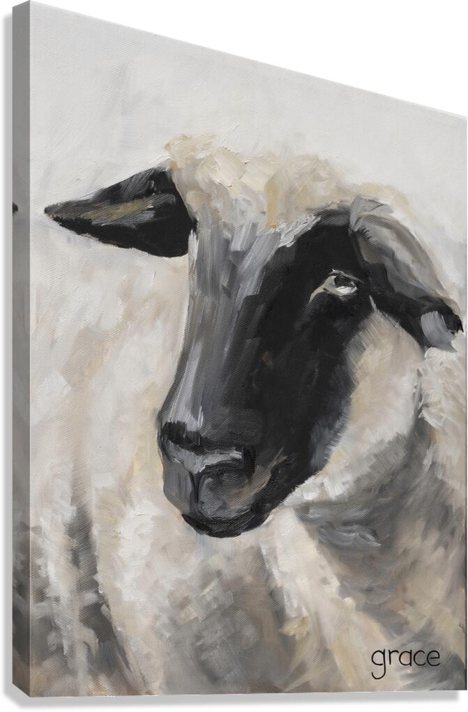 whiteSheep Canvas Print
