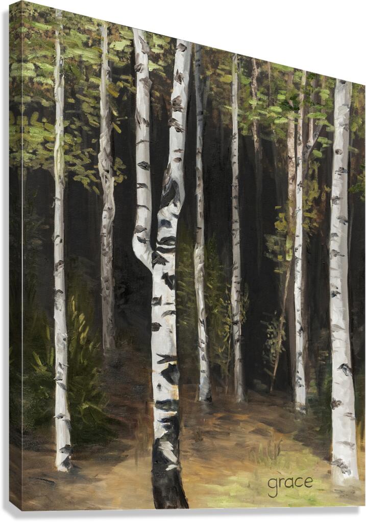 IntoTheTrees Canvas Print
