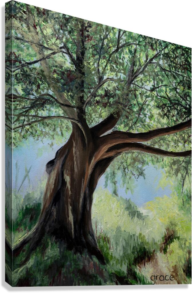 GreatOak Canvas Print
