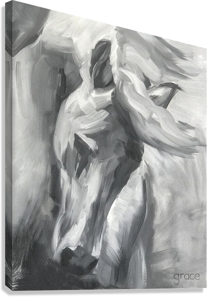 GreyHorse Canvas Print