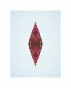 aportal