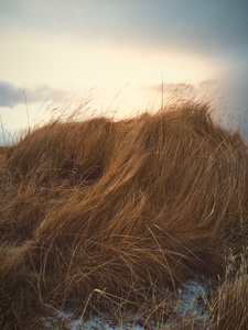 textureofwind