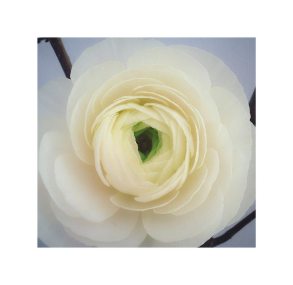 irememberyou Print