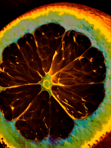 orangecrush Print
