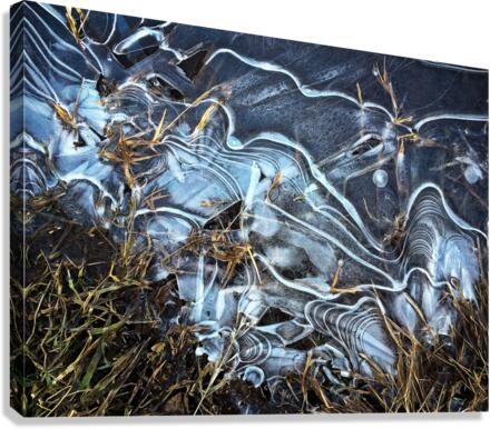 surfaceice Canvas Print