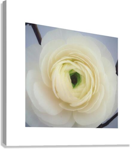irememberyou Canvas Print
