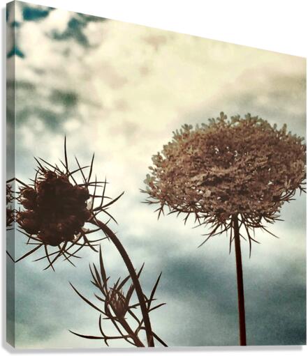 conversationsatdusk Canvas Print