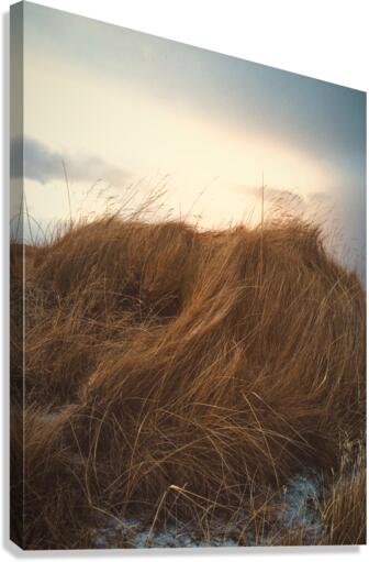 textureofwind Canvas Print