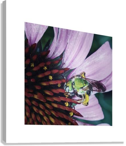 ADEEPRELATIONSHIP Canvas Print