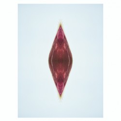 aportal