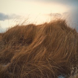 textureofwind