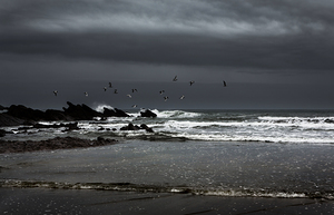 Crackington Haven Cornwall