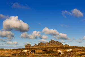 Hound Tor Dartmoor Devon