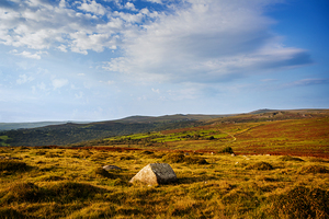 Dartmoor Panorama