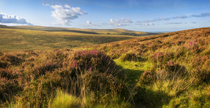 Dartmoor at North Bovey Devon
