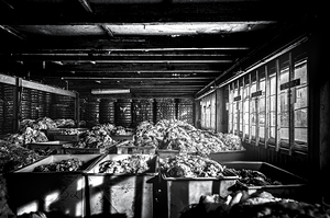 Wool Depot Liskeard Cornwall