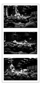 Wool Depot Triptych Liskeard Cornwall