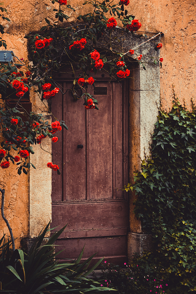 Rustic doorway Valbonne France Print