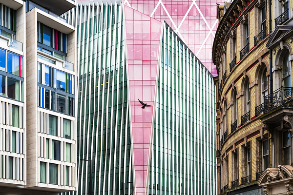 Beauty and the Beasts Print