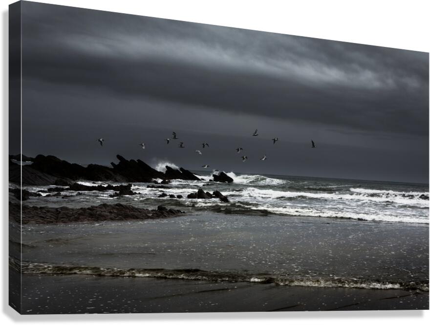 Crackington Haven Cornwall Canvas Print