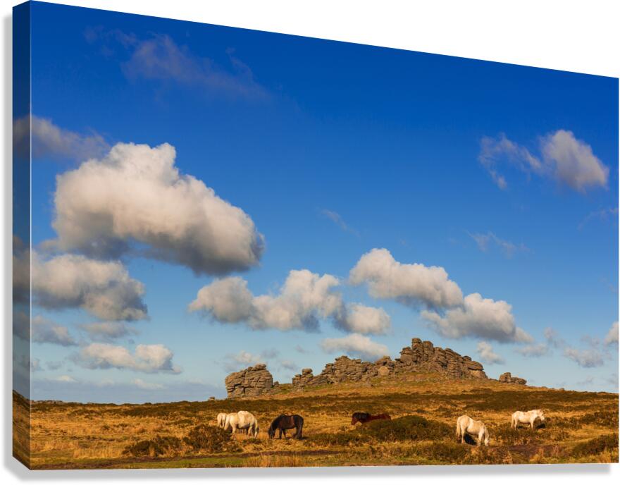 Hound Tor Dartmoor Devon Canvas Print