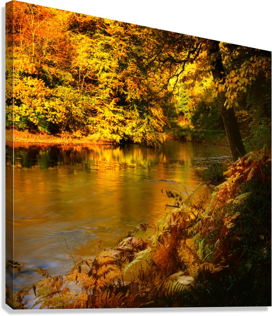 Tamar River Tavistock Devon Canvas Print