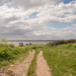 DSC00229