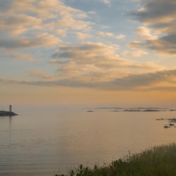DSC00548 2