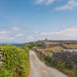 DSC00619