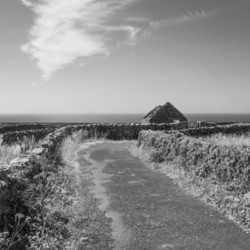 DSC00705 HDR
