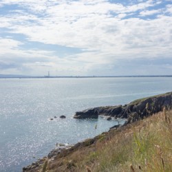 DSC01504