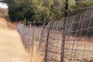 Fence Line