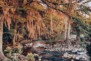 Riverbend Reflections