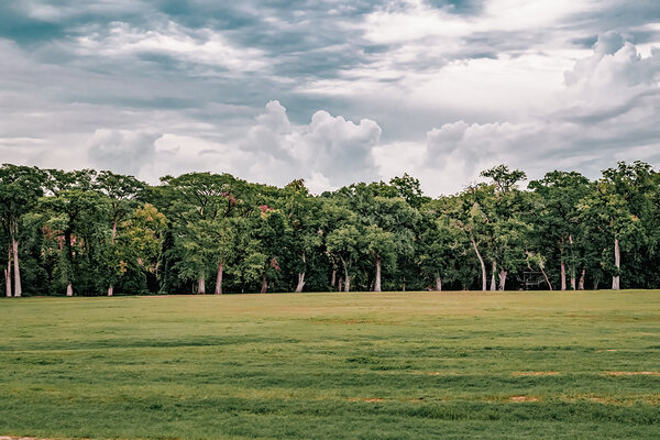 Cypress Bend Skyline Print