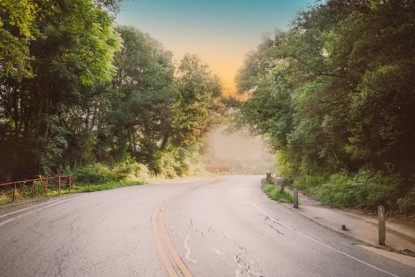 Gruene & Beyond Print